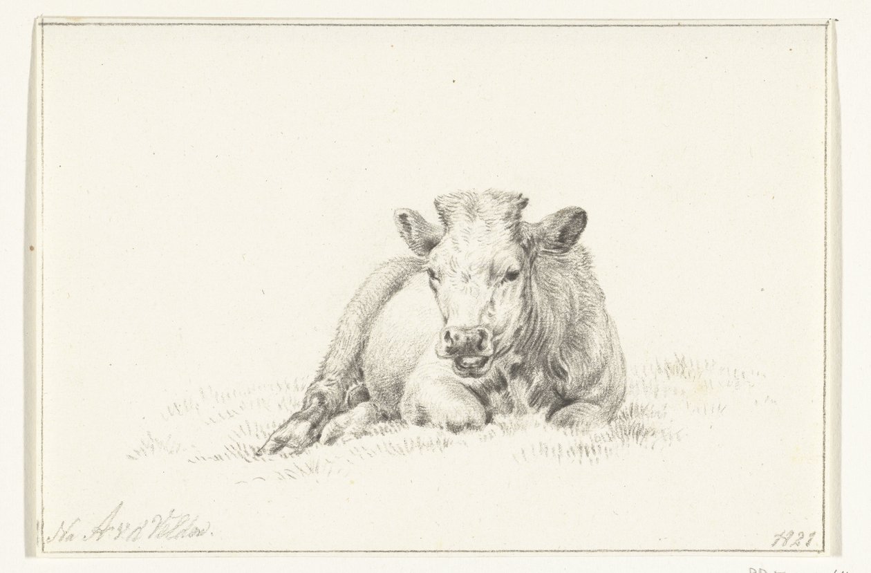 Liggande ko, framifrån av Jean Bernard