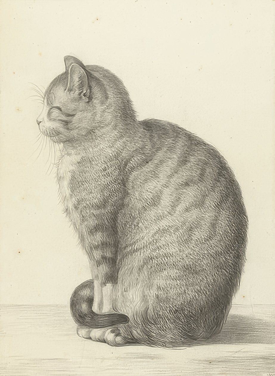 Sittande katt, till vänster. 1815 av Jean Bernard