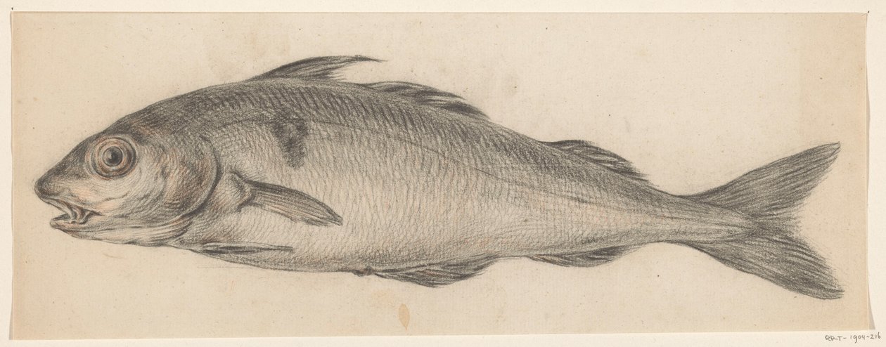 Fisk, till vänster av Jean Bernard