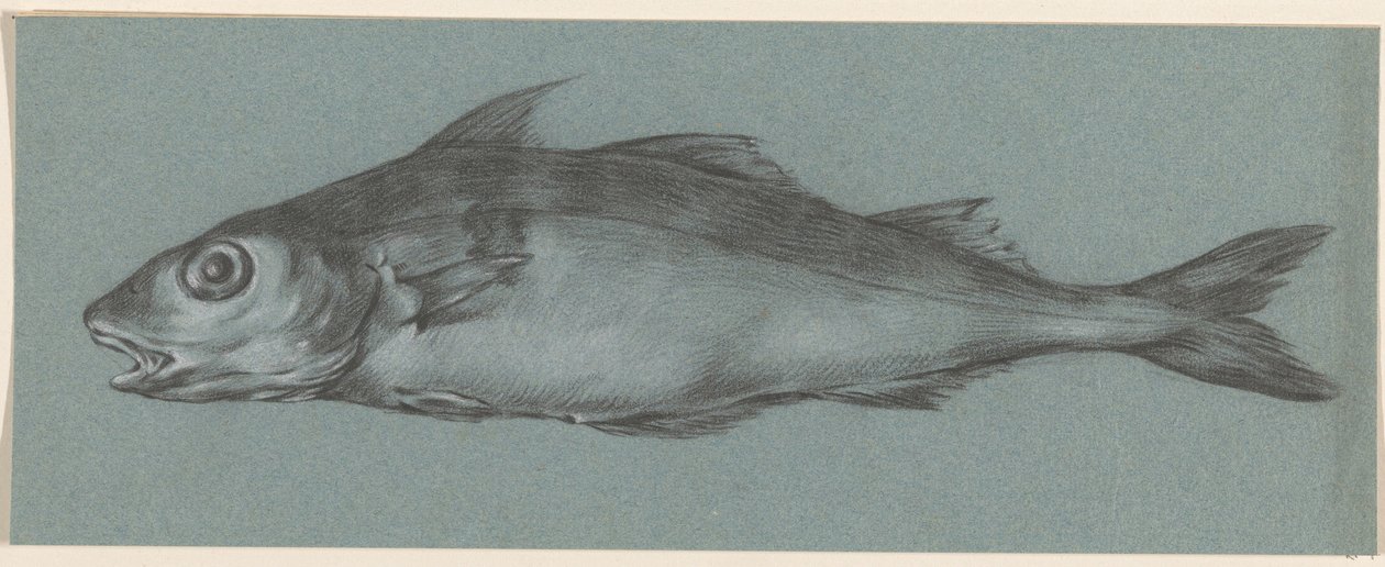 Fisk, till vänster av Jean Bernard