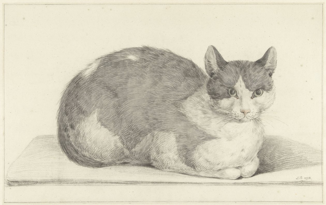 Sittande katt, till höger av Jean Bernard