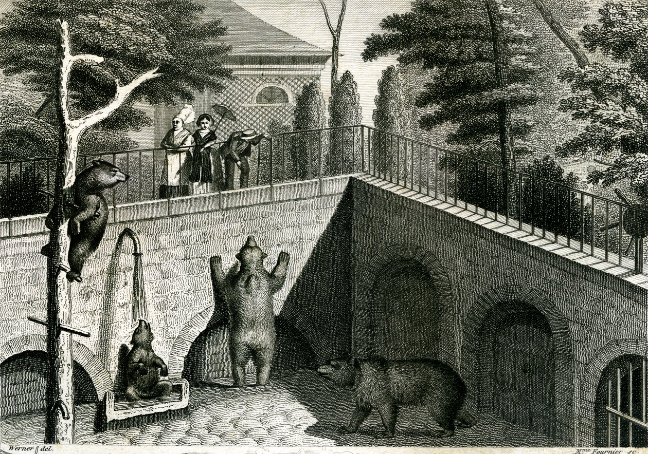 Björngömsle i en djurpark av Jean Charles Werner