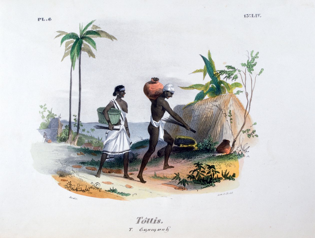 Tottis, 1828 av Jean Henri Marlet