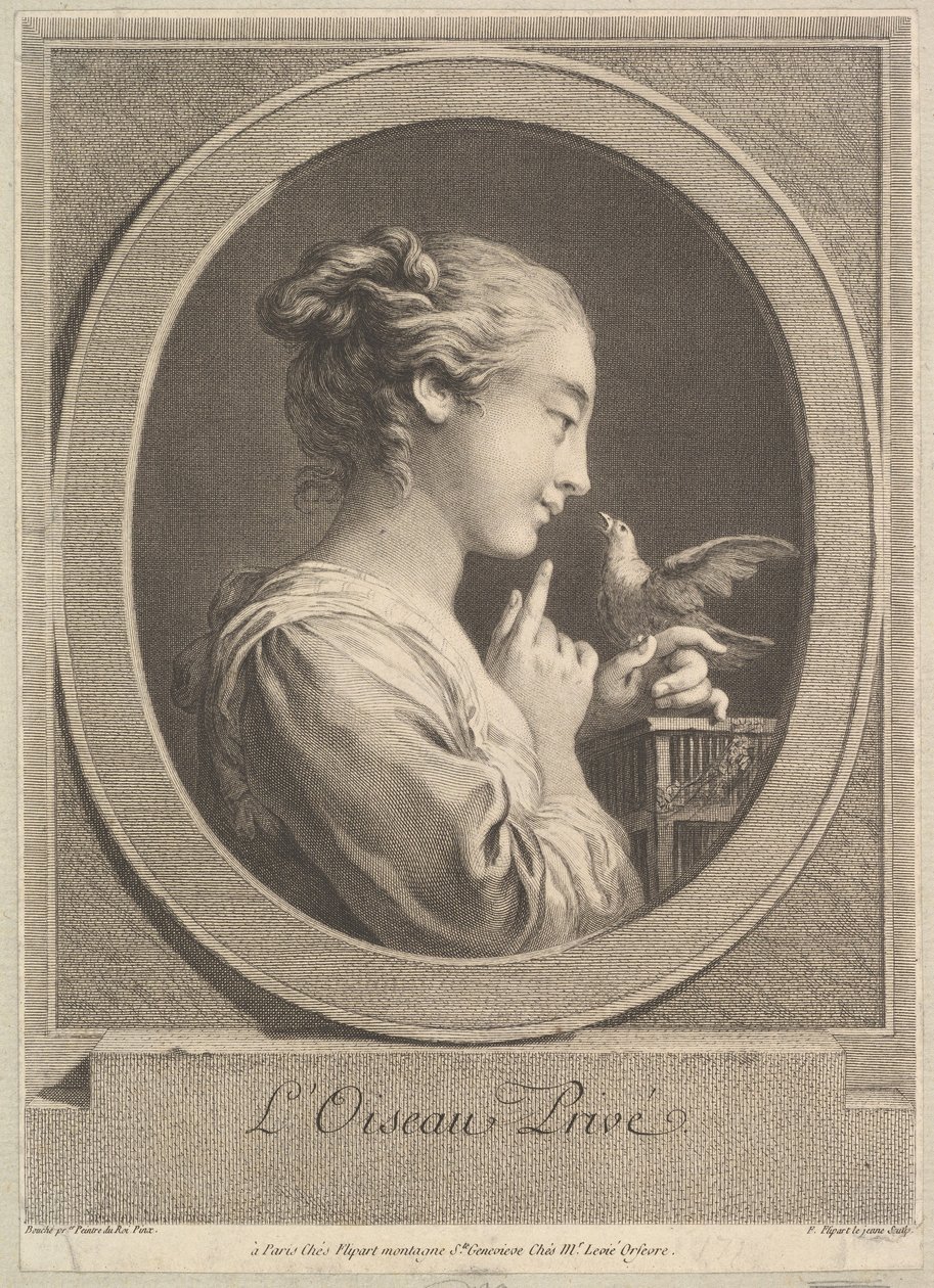 The Tamed Bird, ca. 1769. av Jean Jacques Flipart