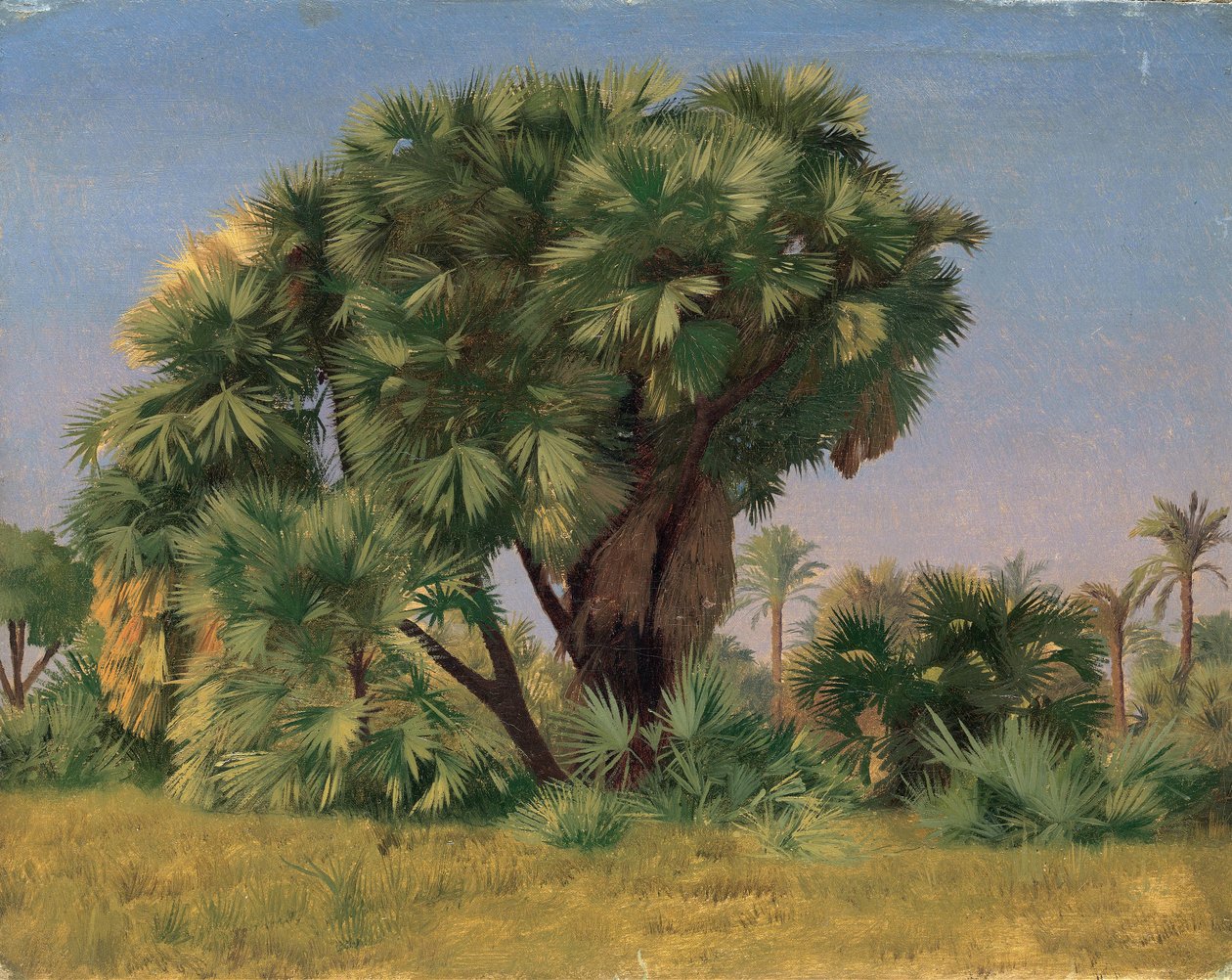 Studie av palmer av Jean Leon Gerome