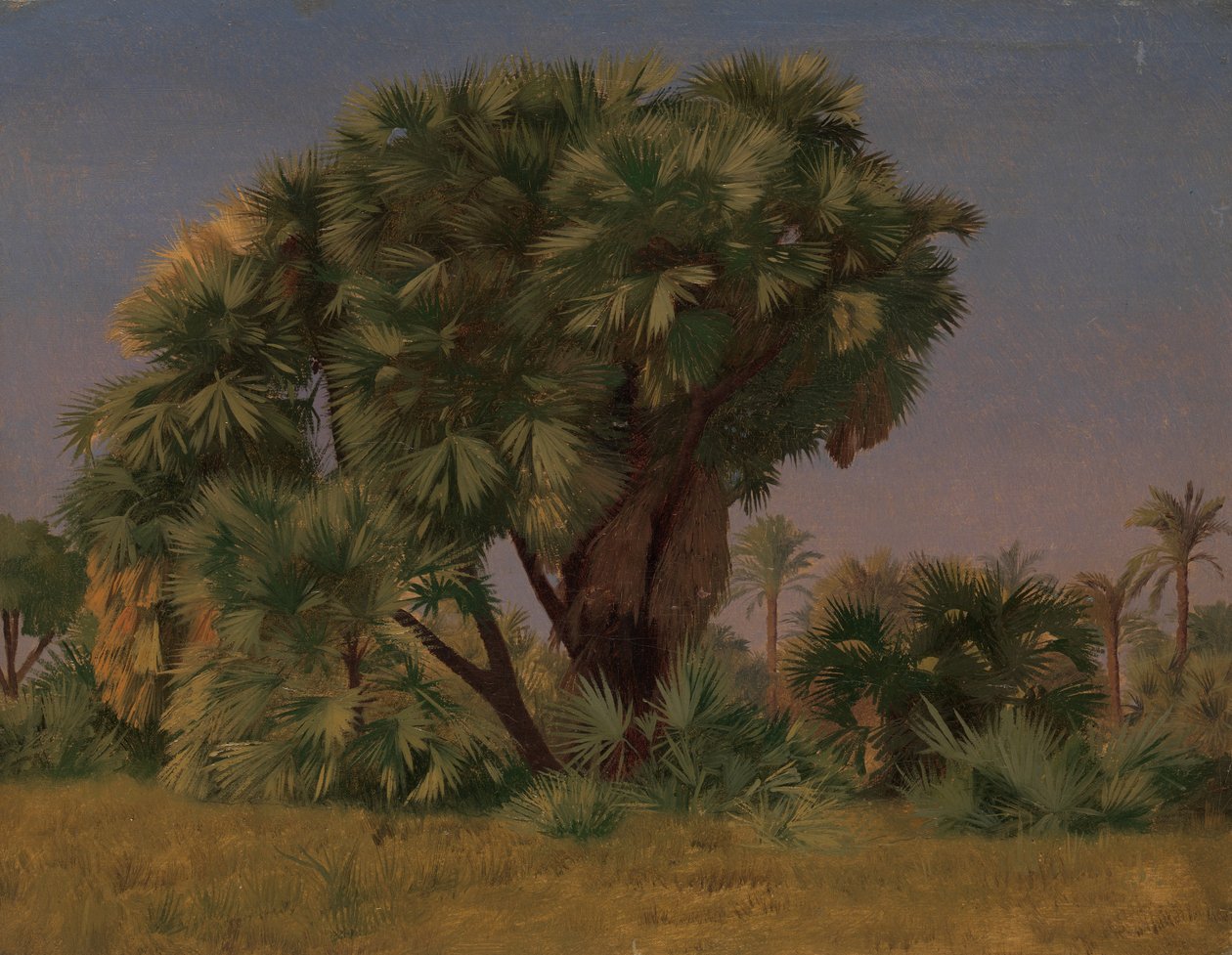 Studie av palmer, troligen 1868. av Jean Leon Gerome