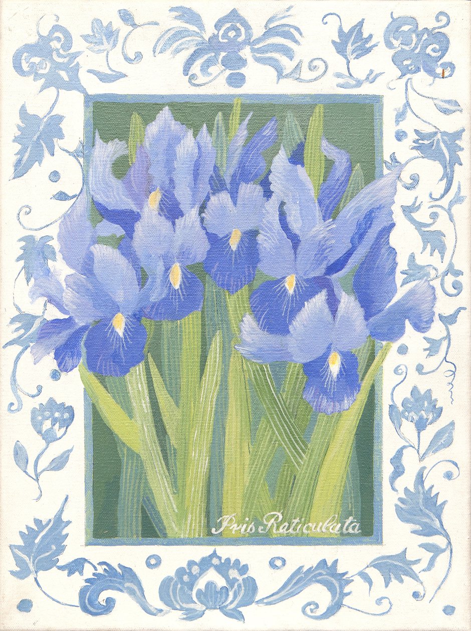 Blå Iris (akryl) av Jennifer Abbott