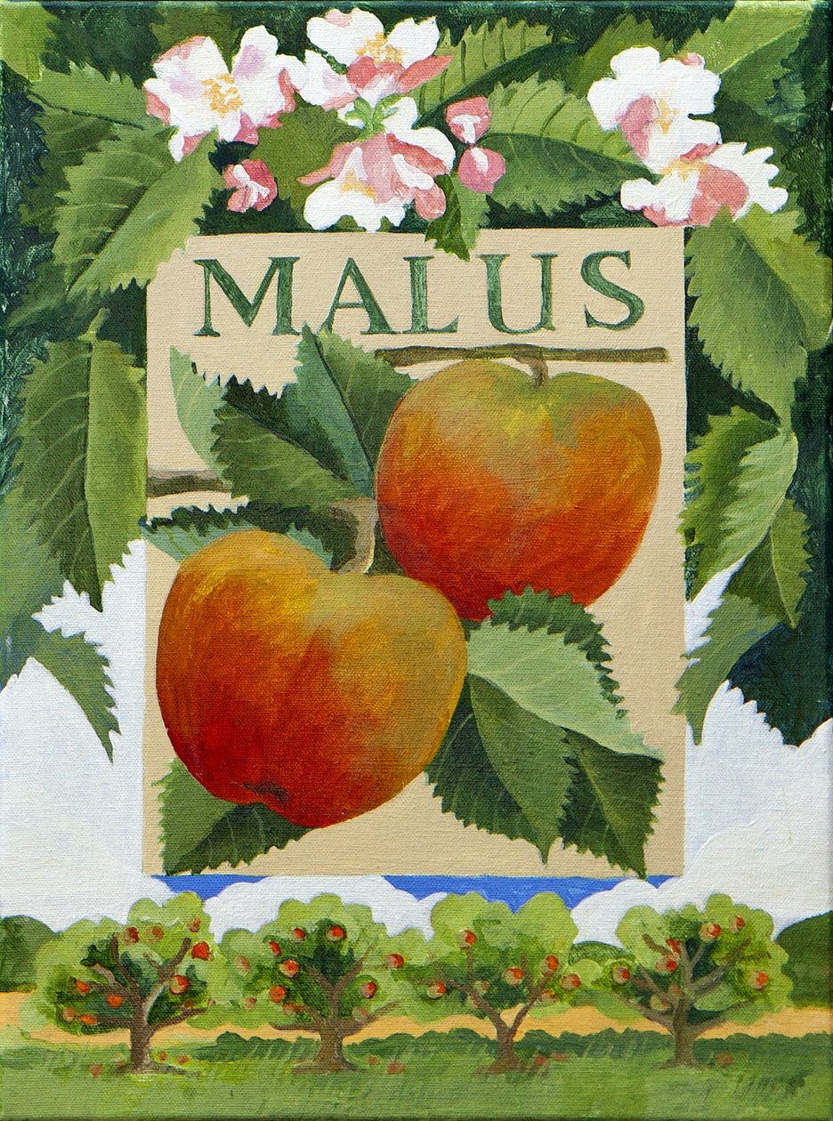 Malus (äpple), 2014 (akryl på duk) av Jennifer Abbott