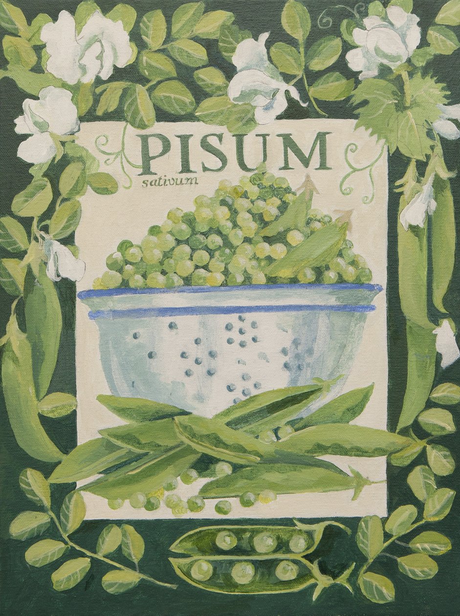 Pisum, Ärtor (akryl) av Jennifer Abbott