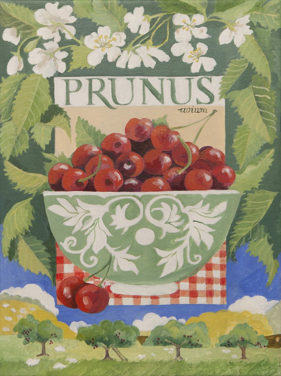 Prunus avium (akryl) av Jennifer Abbott