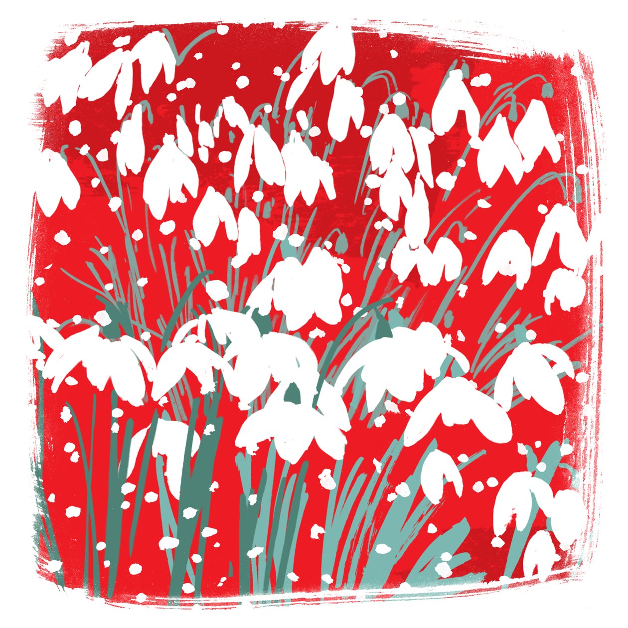 Snödroppar av Jenny Frean
