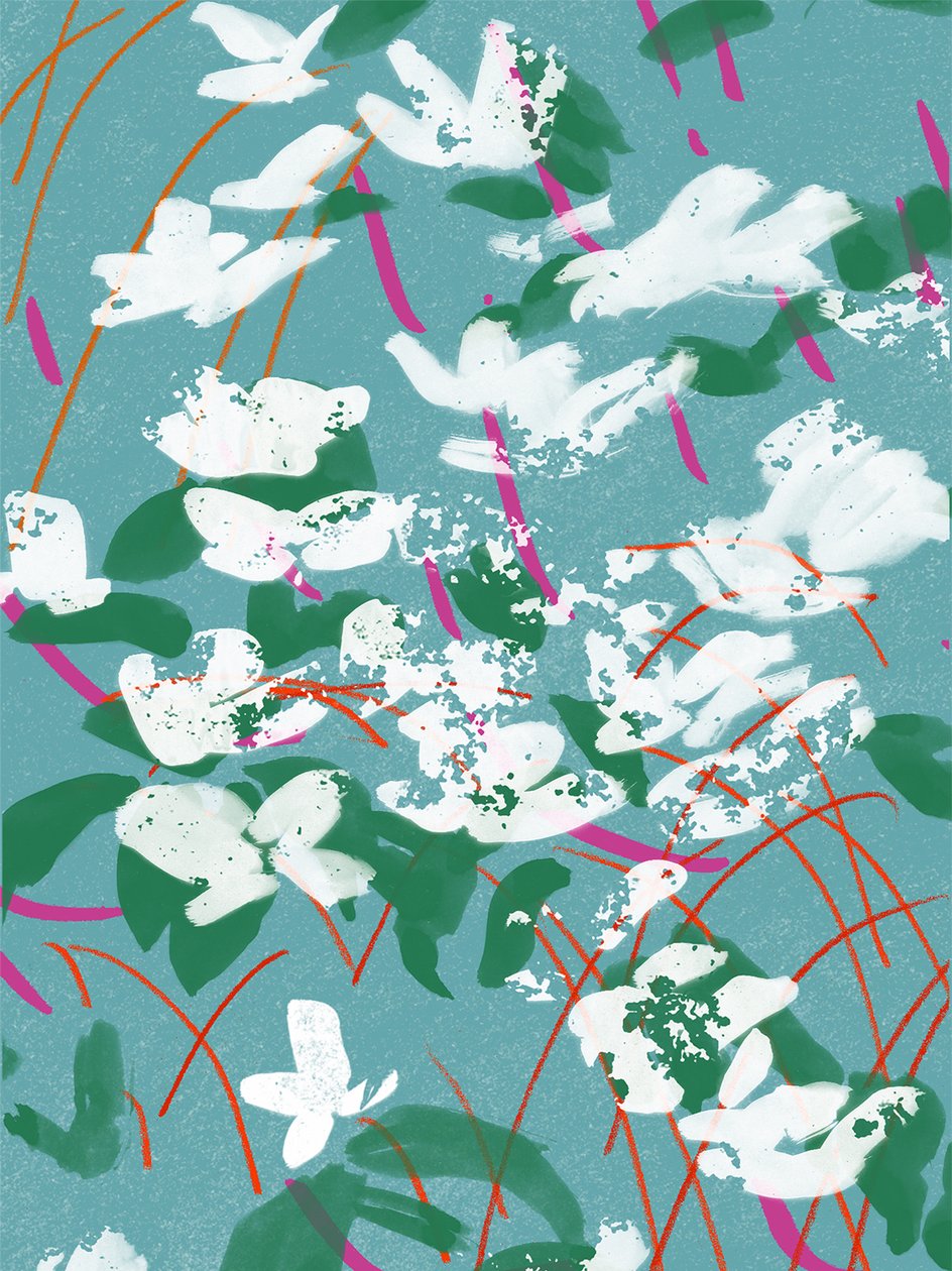 Teal Tales av Jenny Frean