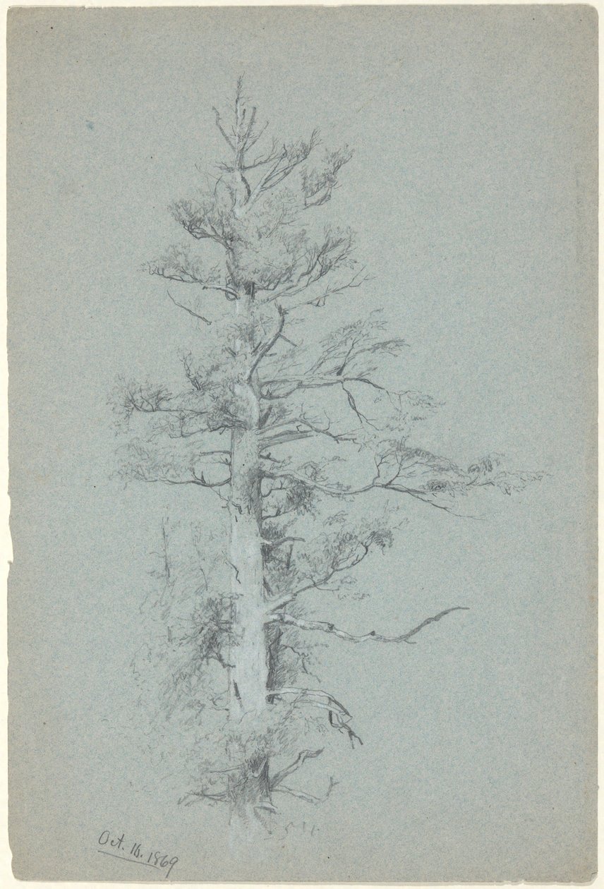 Trädstudie av Jervis McEntee