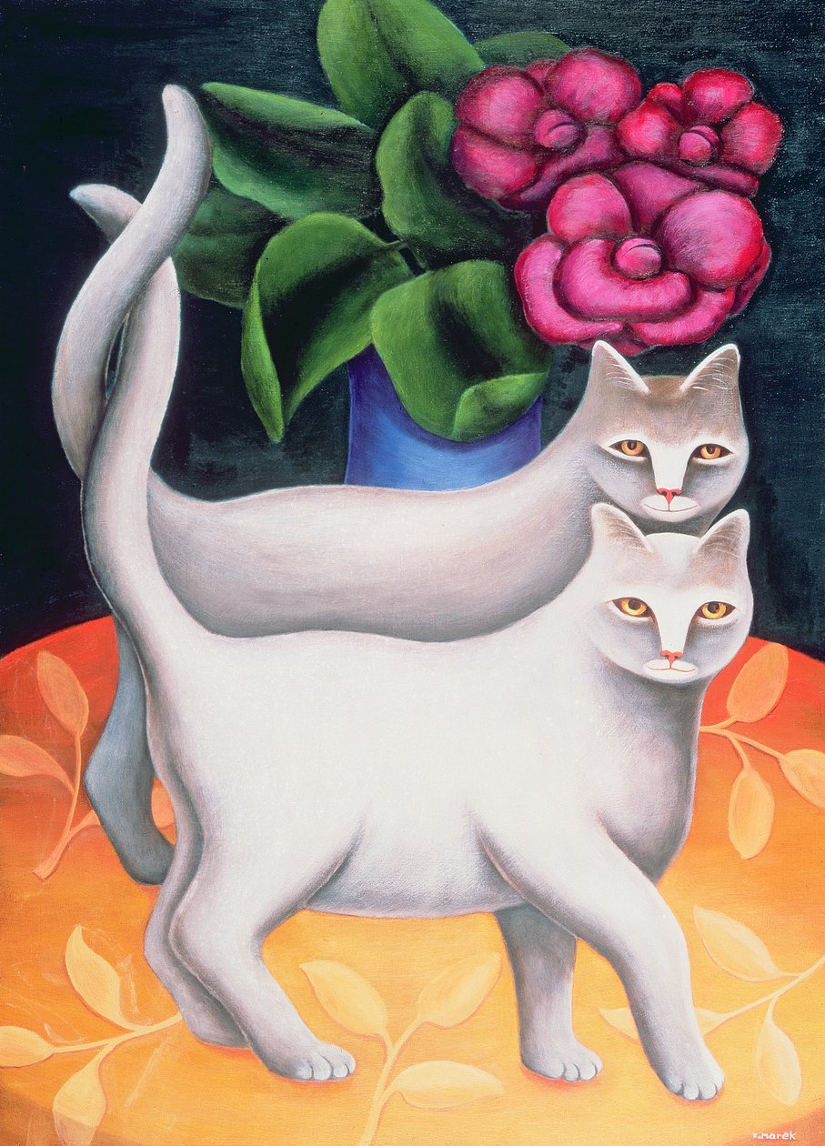 Tango av Jerzy Marek