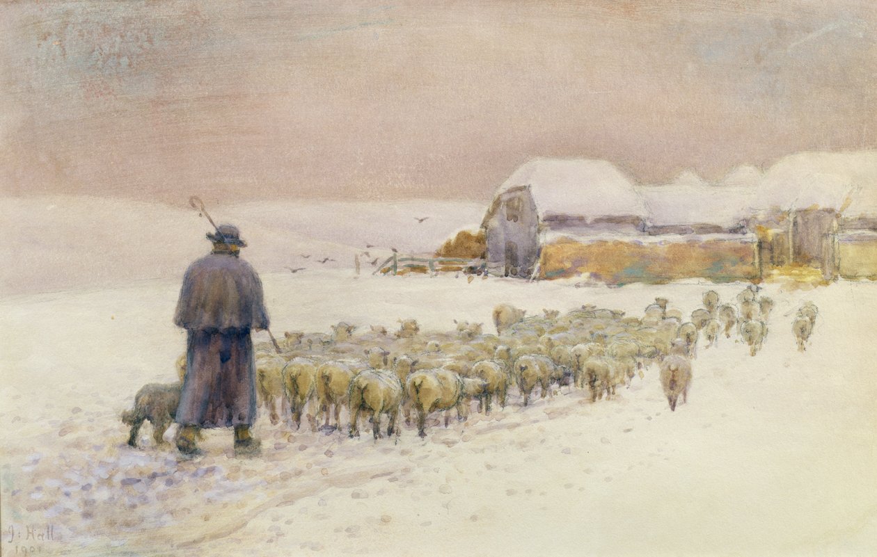 Införing av flocken, 1901 av Jessie Hall