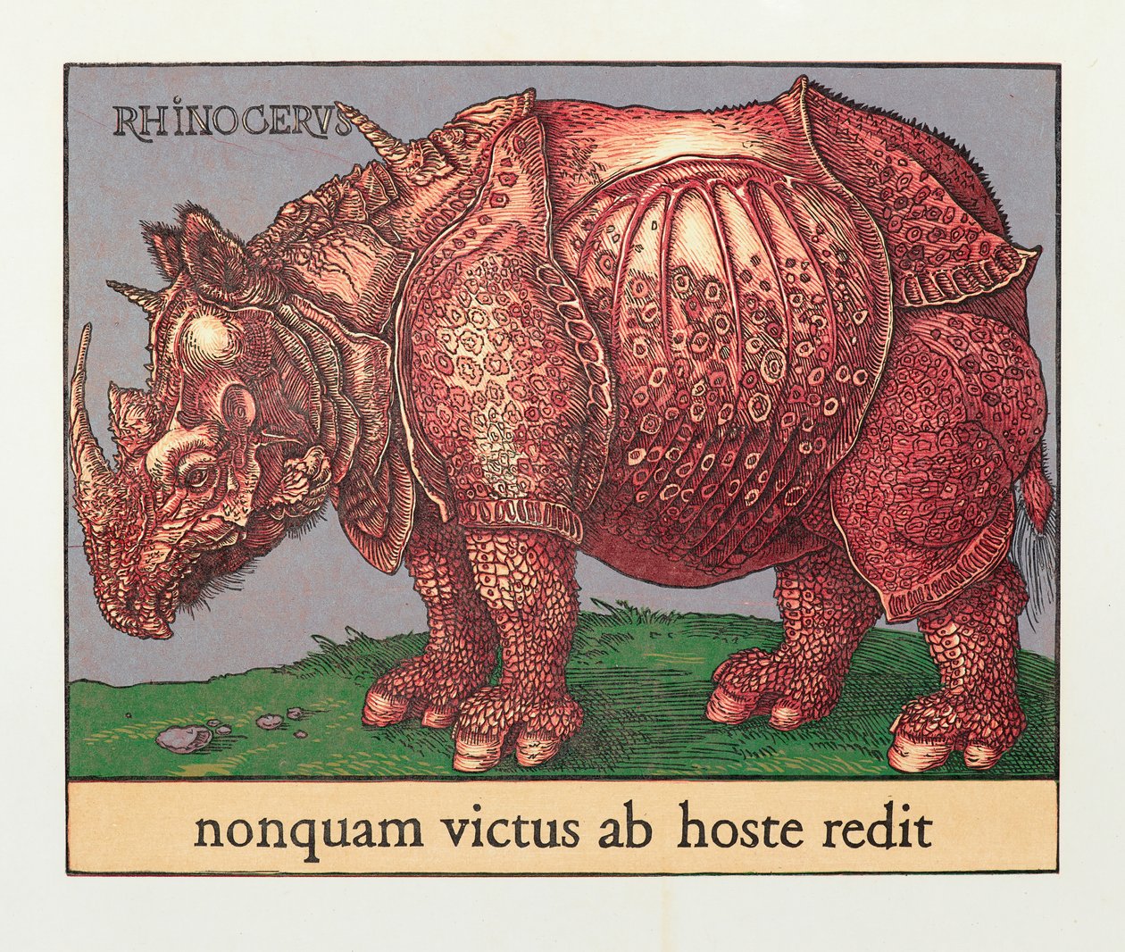 Red Rhino, 2007 (träsnitt) av Jim Monson