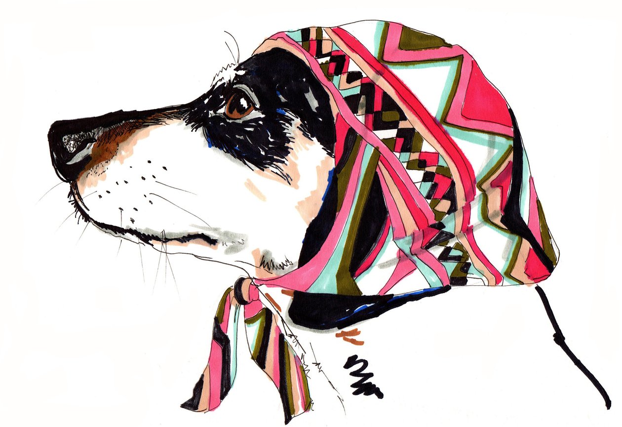 Pooch In Pucci, 2012 (penna och bläck på papper) av Jo Chambers