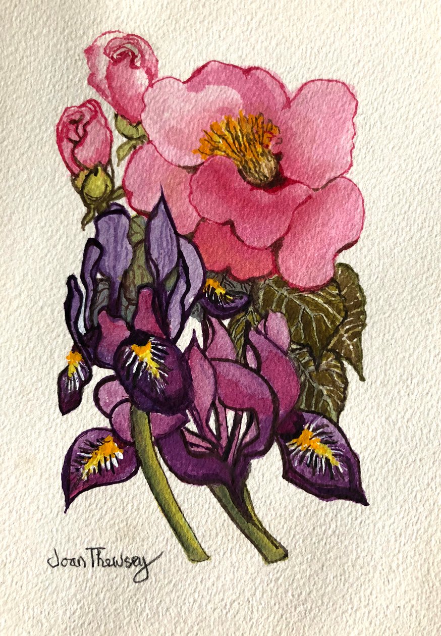 Camellia och holländska Iris, av Joan Thewsey
