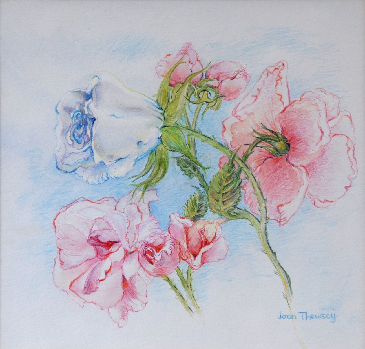 Morgonrosor 2002 av Joan Thewsey