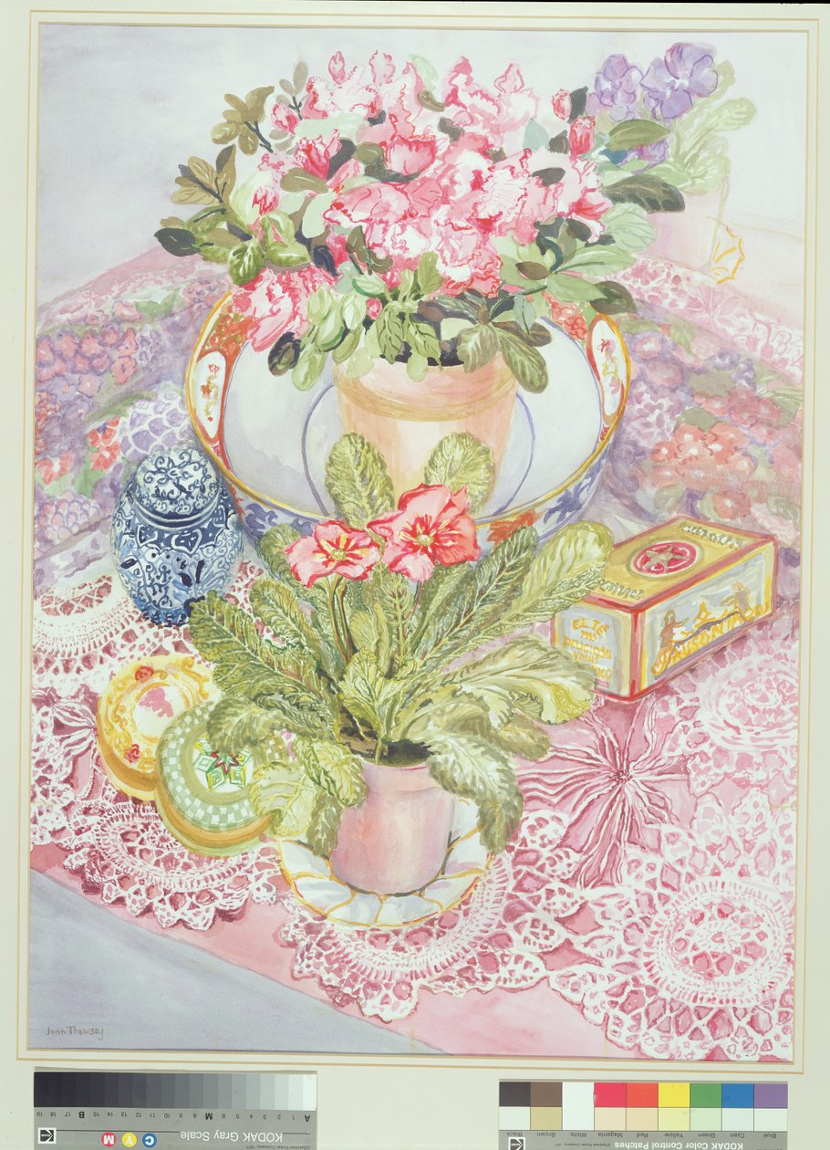 Primrose och Azalea av Joan Thewsey