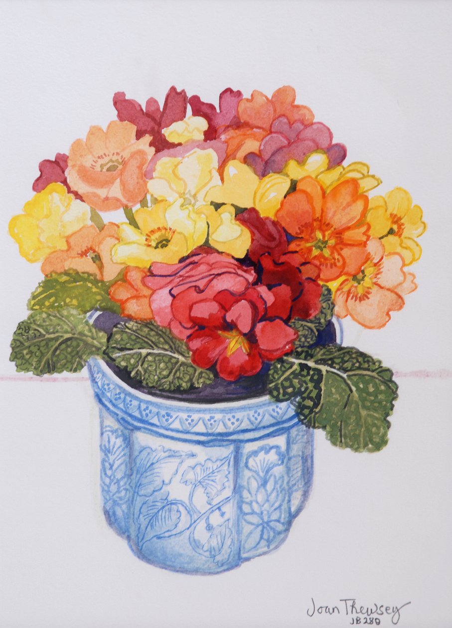 Den mångfärgade primula 2011 (akvarell på papper) av Joan Thewsey