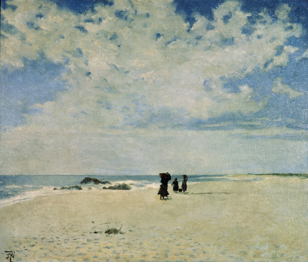 Stranden av Joan Vaz