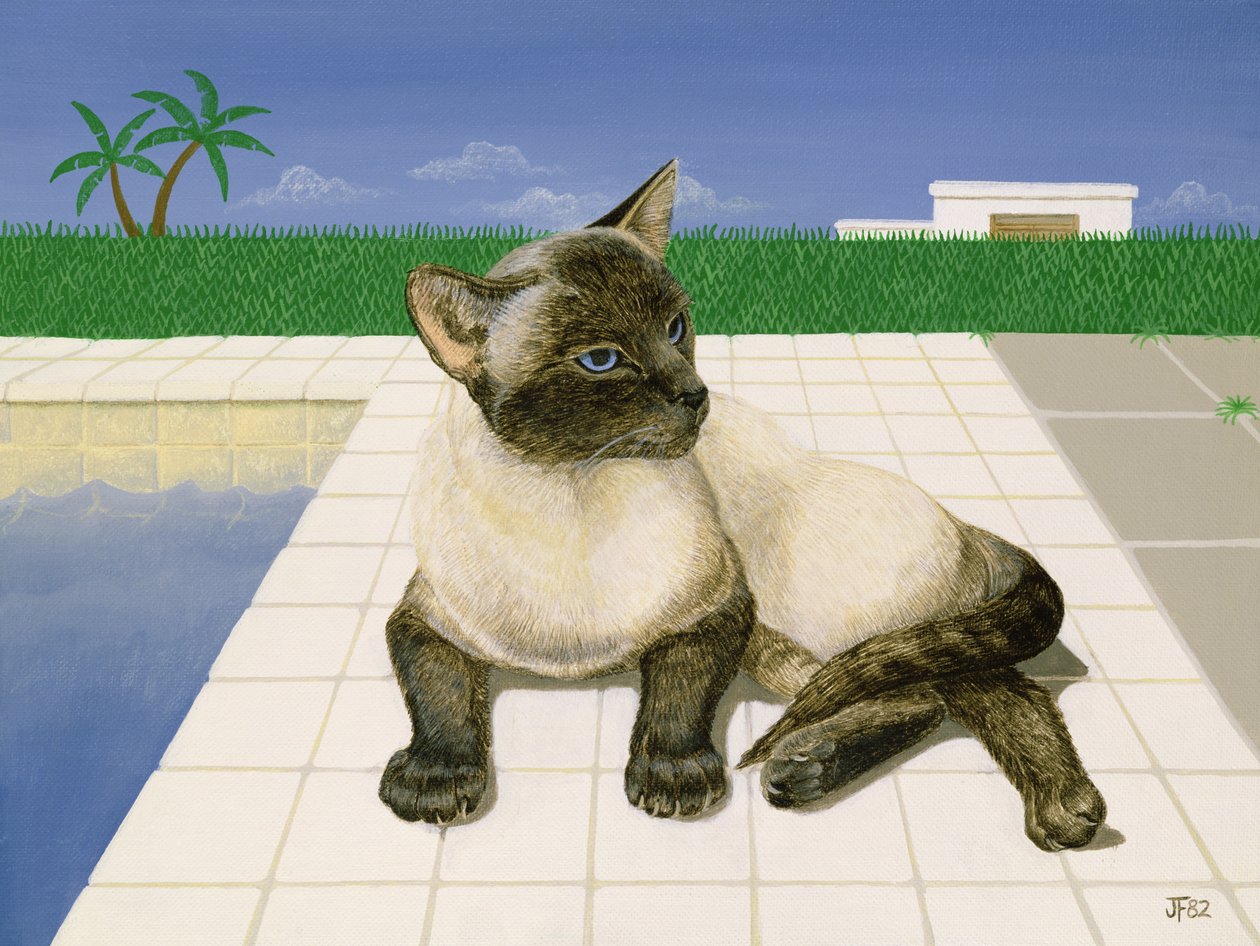 Siamese katt vid en pool av Joan Freestone