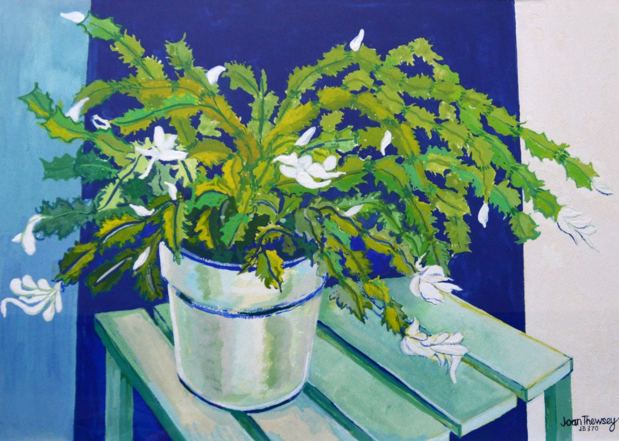 Julkaktus, 2000 (gouache) av Joan Thewsey