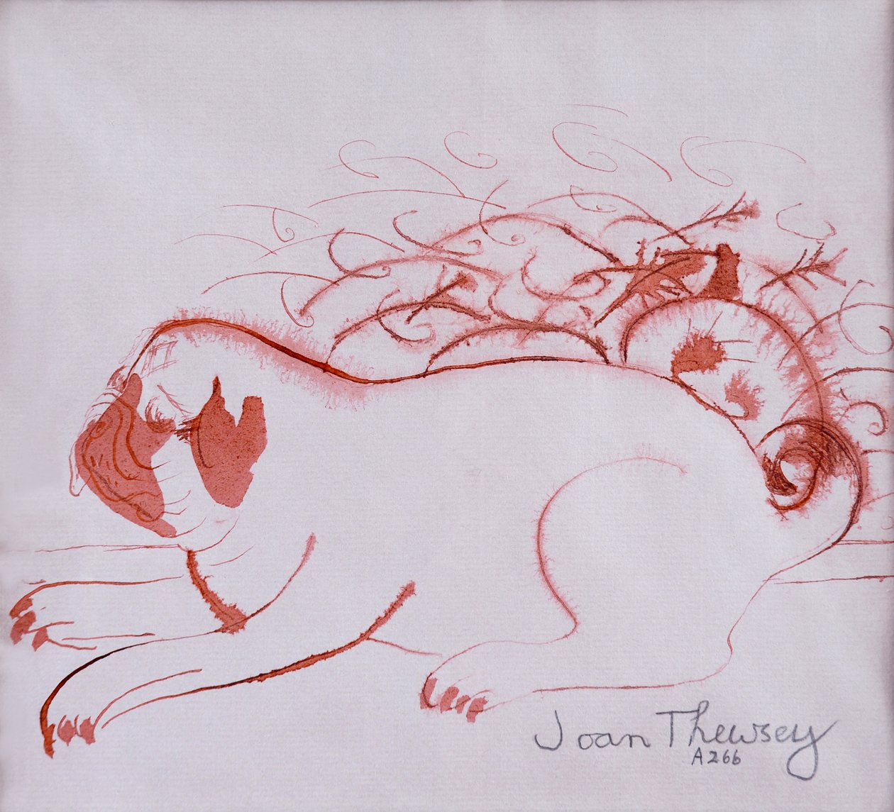 Pug Puppy 2,2005, (bläck på vått papper) av Joan Thewsey