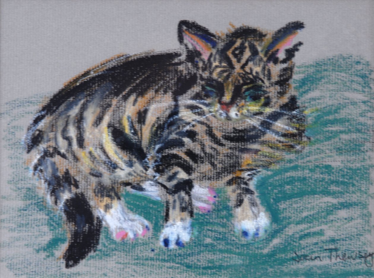 Tabby Cat, 2005 (pastell) av Joan Thewsey