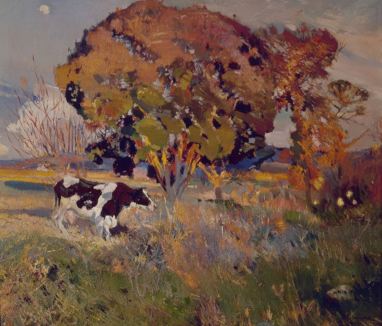 Kon och ek av Joaquim Mir i Trinxet