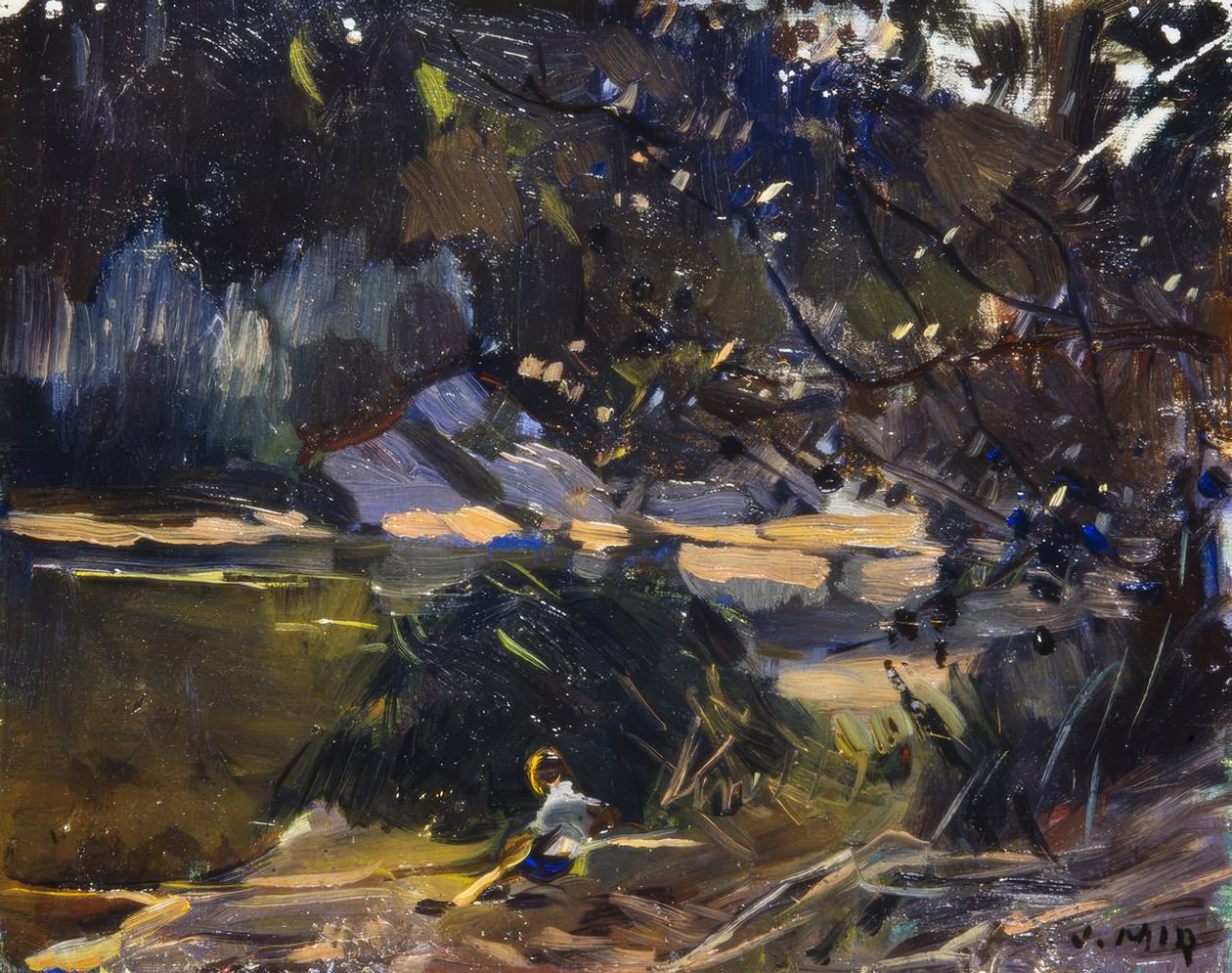 Undervegetation av Joaquim Mir i Trinxet