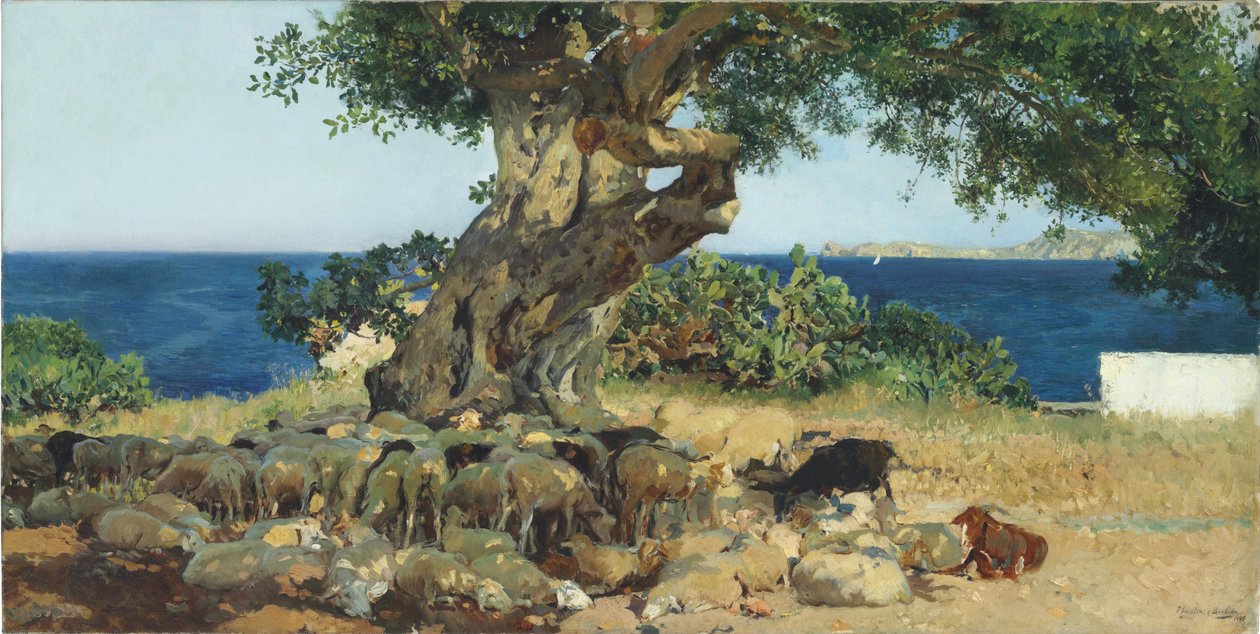 Johannisbrotbaum av Joaquín Sorolla