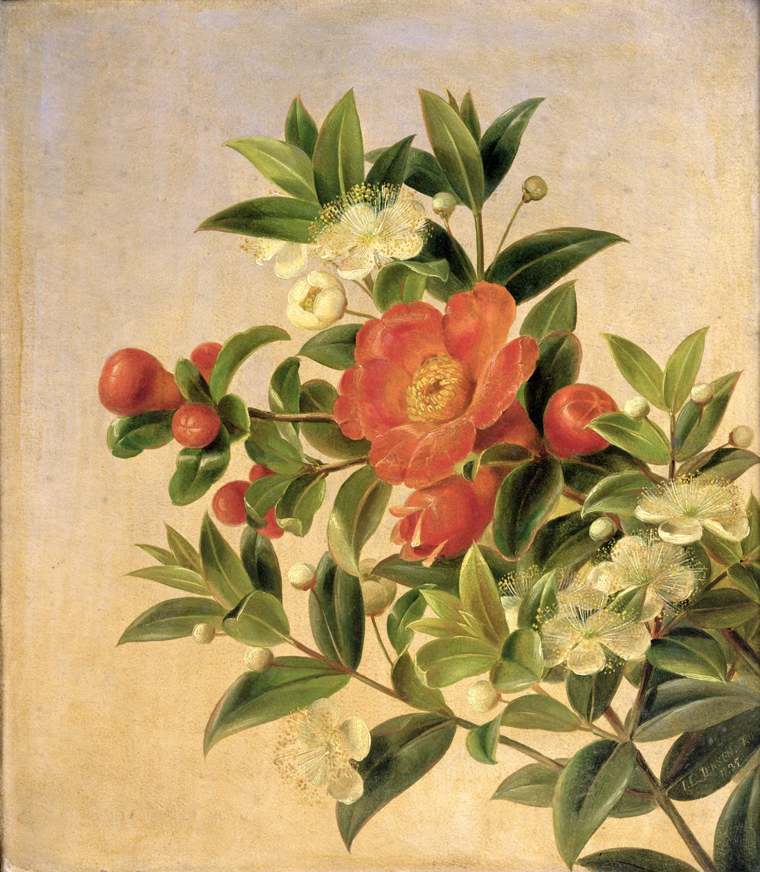 Blommor, 1835 av Johan Laurents Jensen