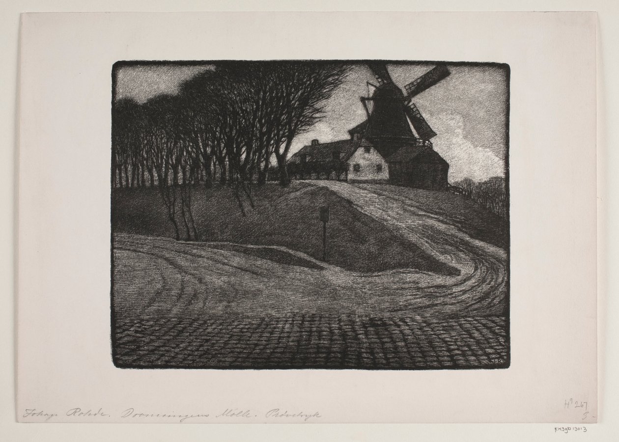 Dronningens mlle  av Johan Rohde
