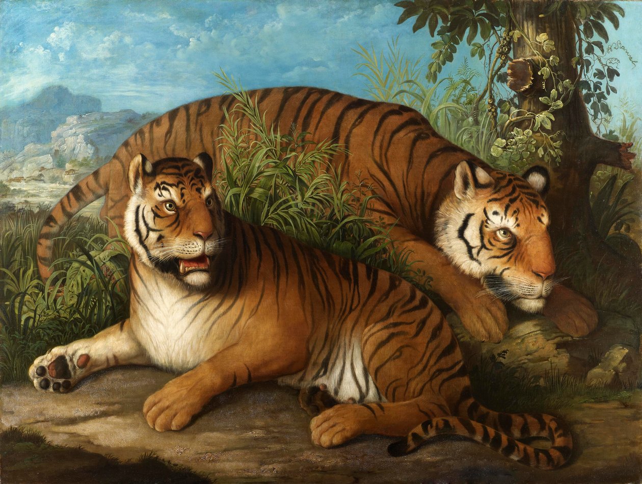 Royal Bengal Tigers av Johan Wenzel Peter