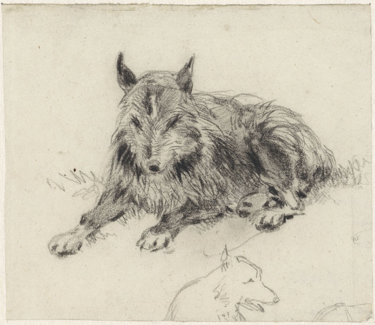 Liggande fårhund av Johan Daniël Koelman