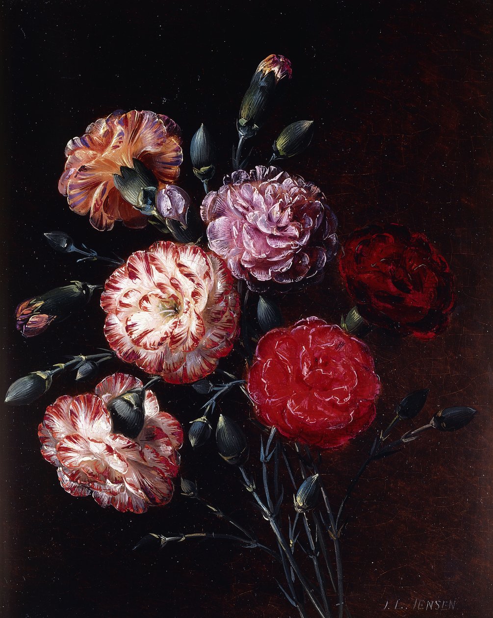 nejlikor, av Johan Laurents Jensen