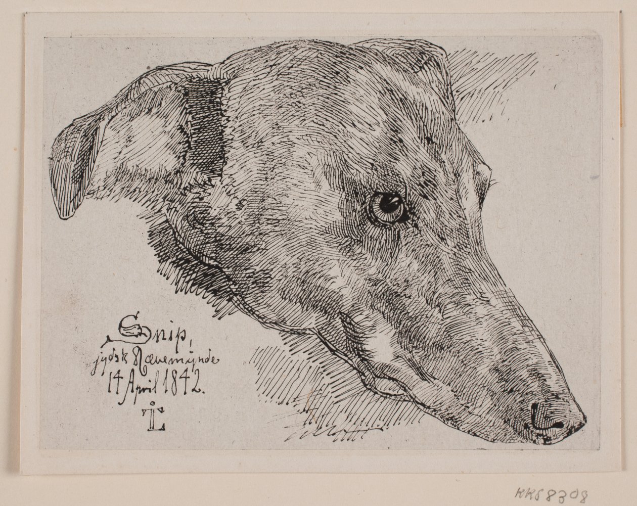 Hundehoved, Snip av Johan Thomas Lundbye