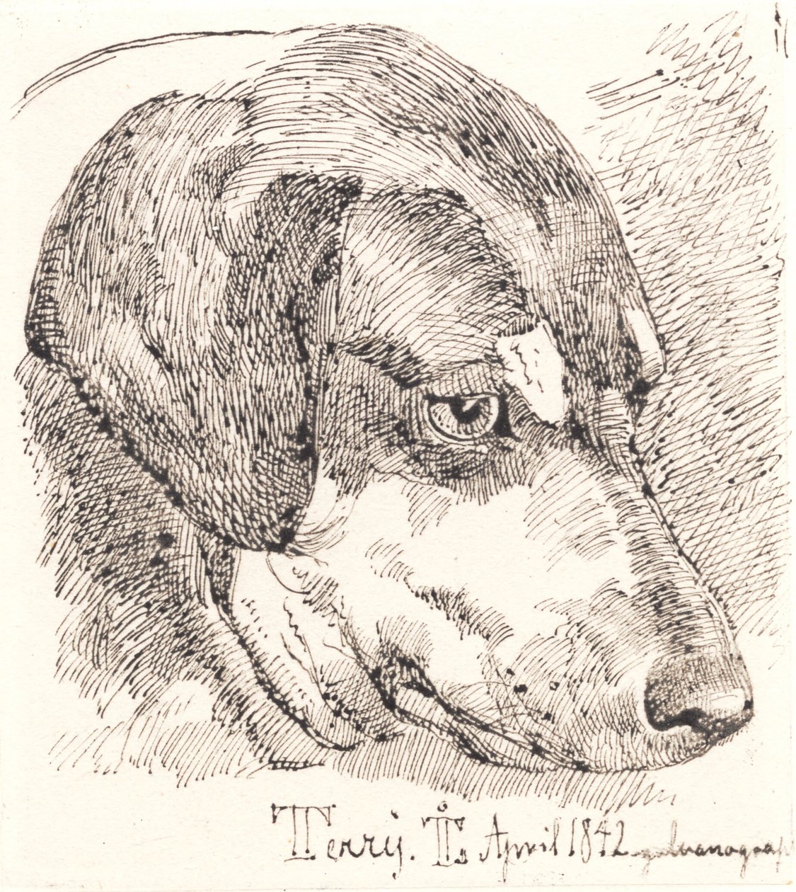 Hundehoved, Terry av Johan Thomas Lundbye