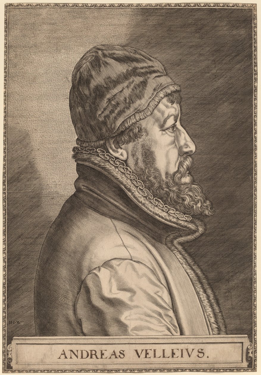 Andreas Velleius (Anders Sorensen Vedel) av Johan Wierix
