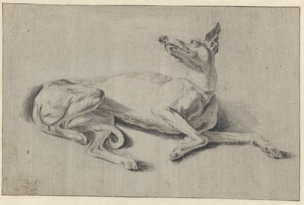 Liggande vinthund av Johan le Ducq (possibly)