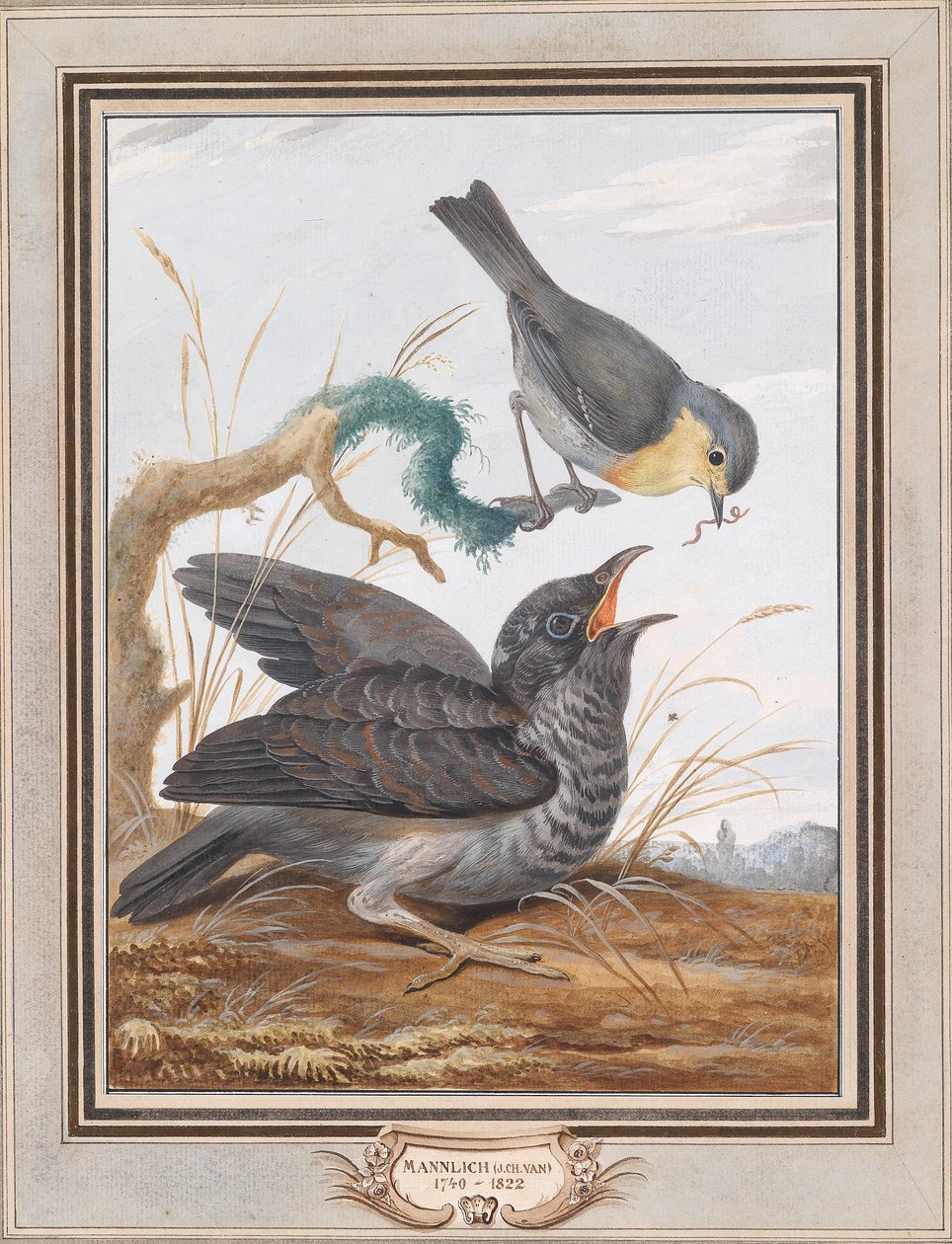 En robin matar en gök av Johann Christian von Mannlich