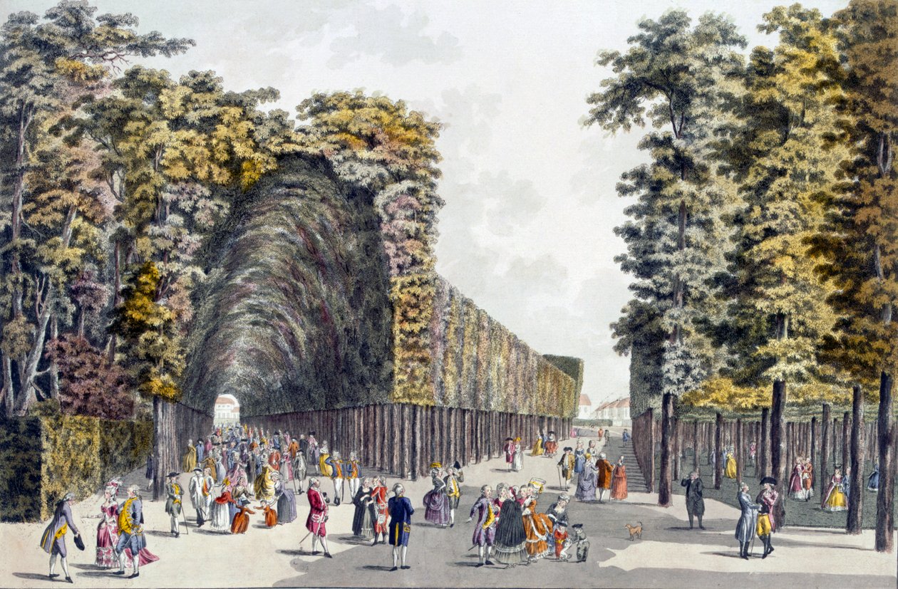 Limegrove Walk, Augarten, Wien, 1790-talet av Johann Ziegler