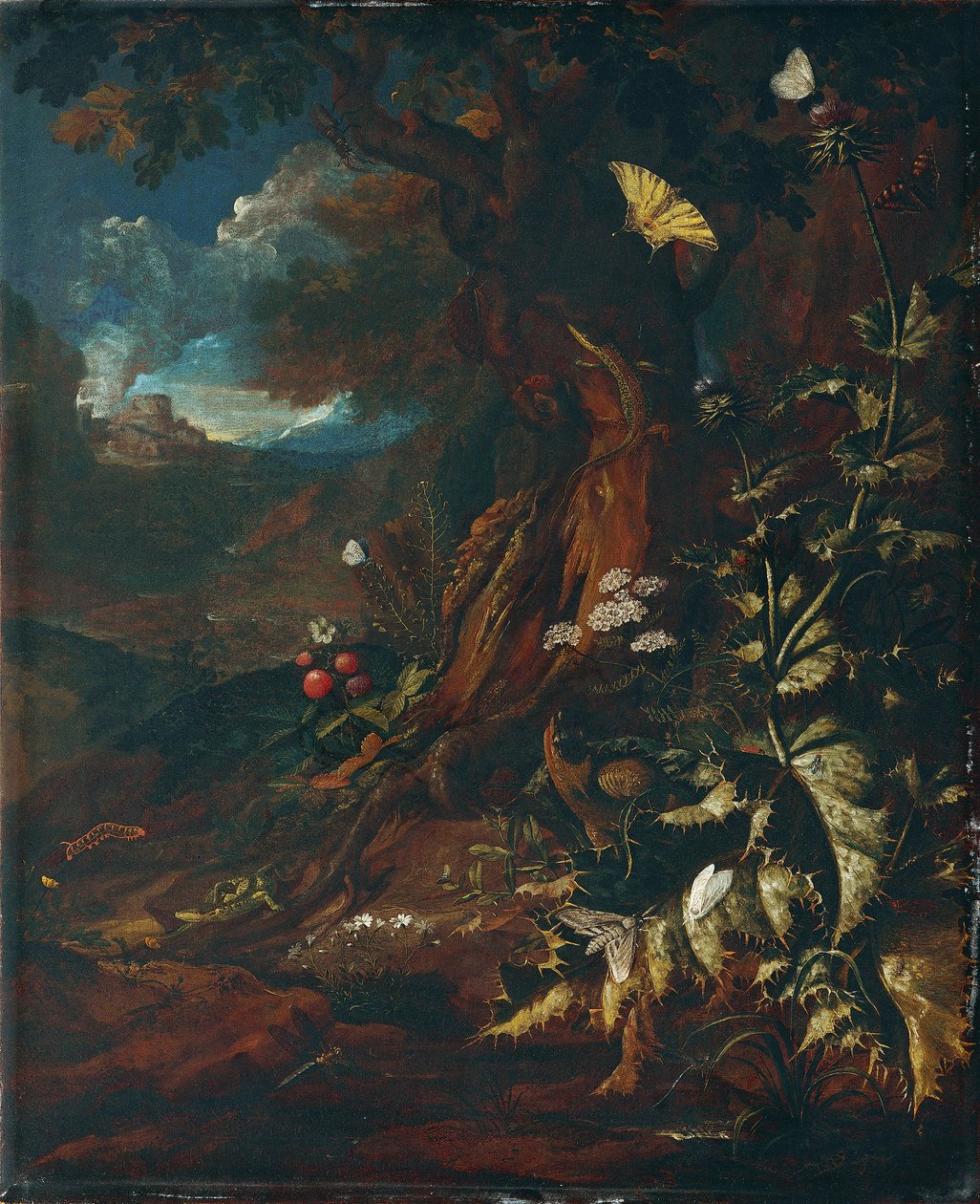 Landskap med reptiler och insekter (I) av Johann Adalbert Angermayer