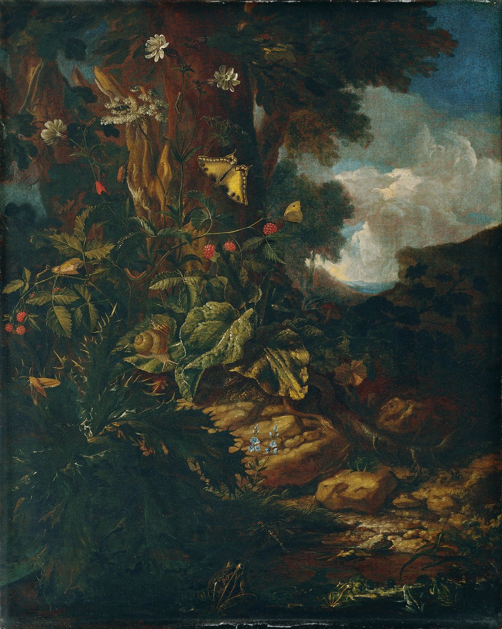 Landskap med reptiler och insekter (II) av Johann Adalbert Angermayer