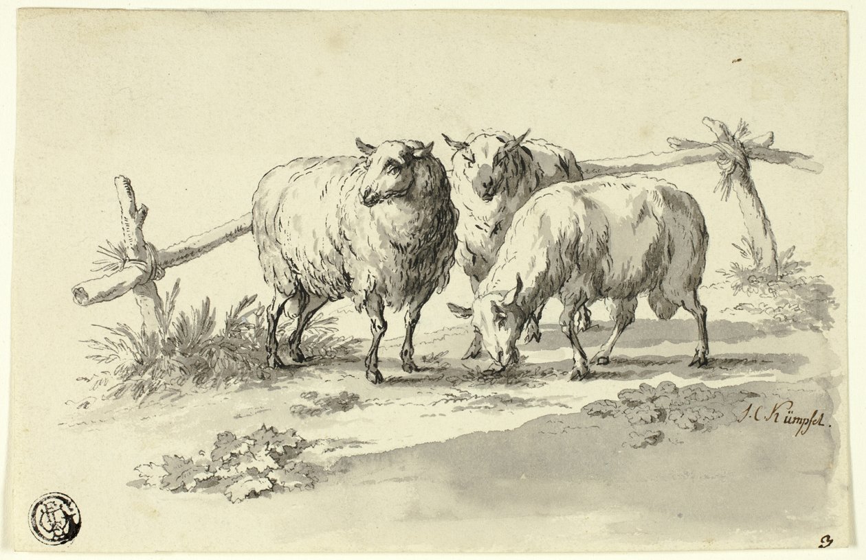 Får av Johann Christoph Kimpfel