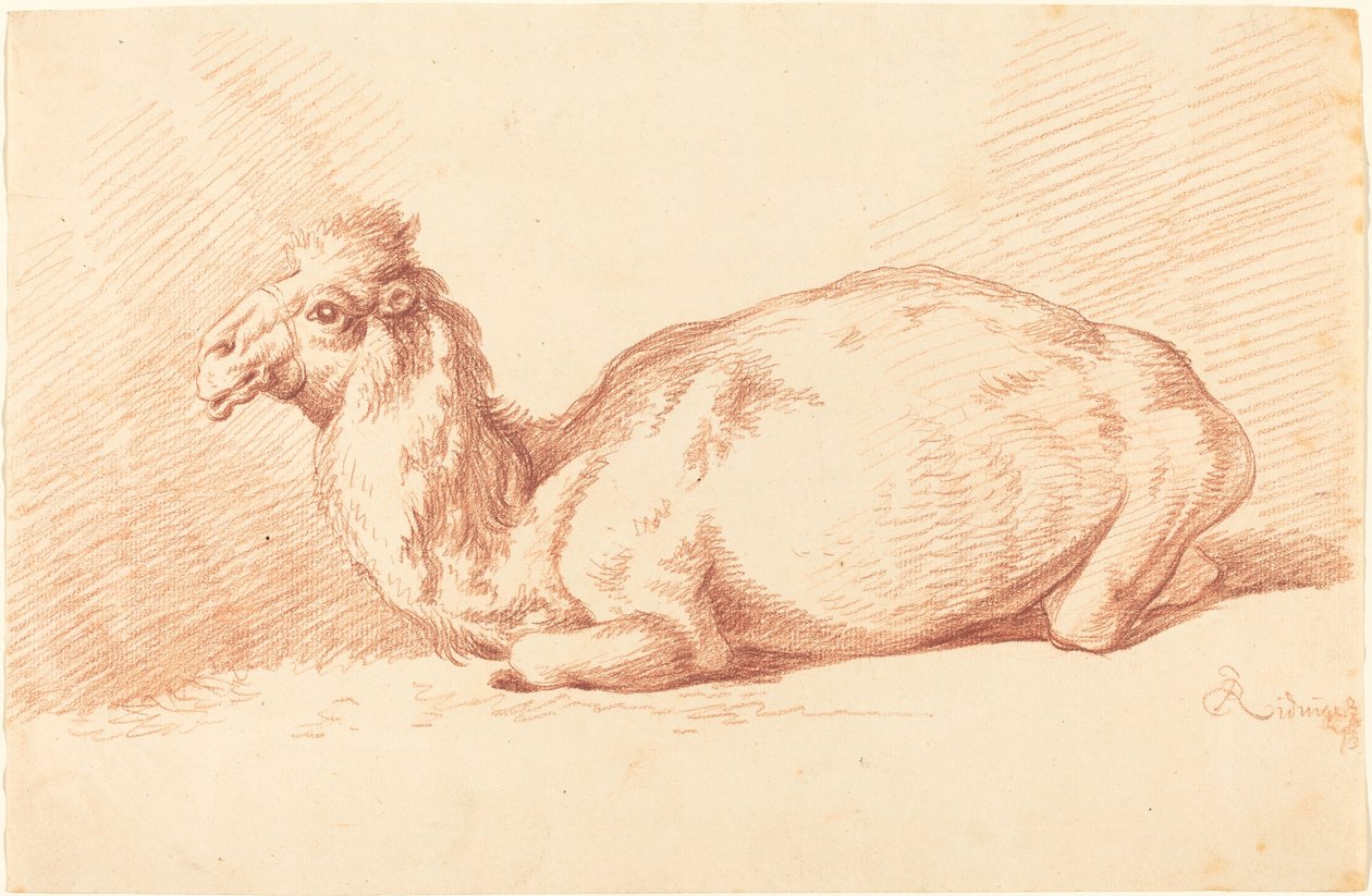swedish av Johann Elias Ridinger