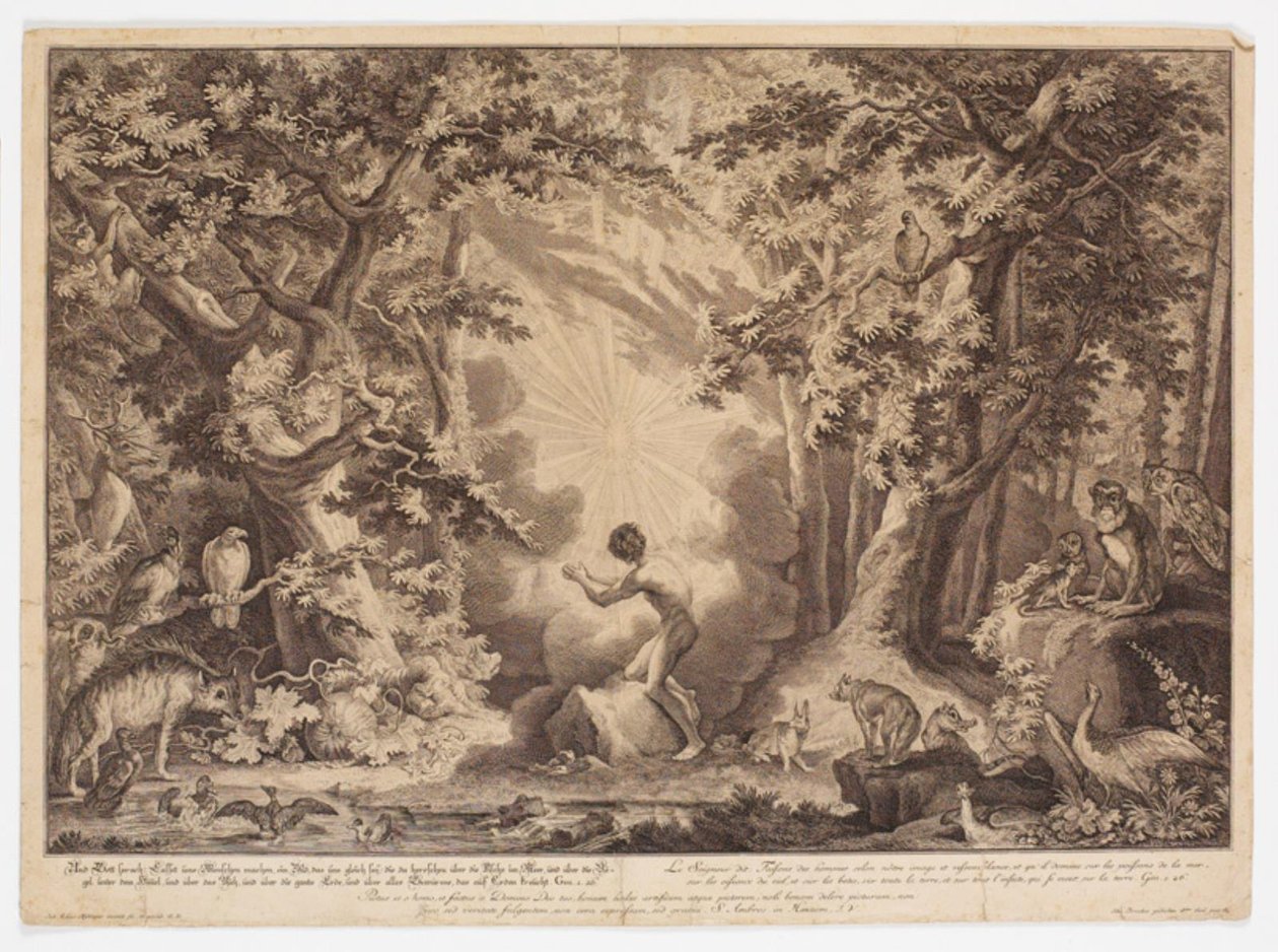 Adams skapelse av Johann Elias Ridinger