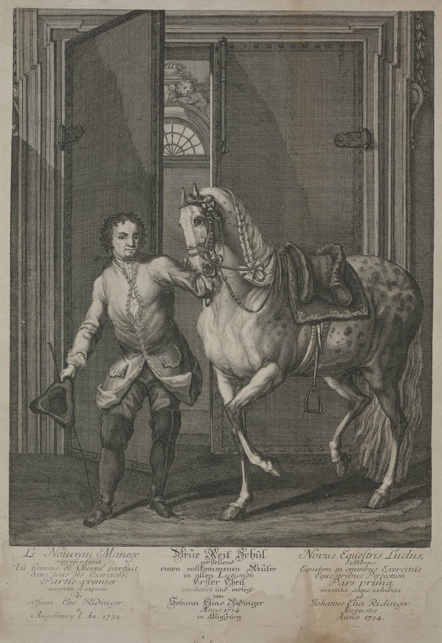 Ny hästskola av Johann Elias Ridinger